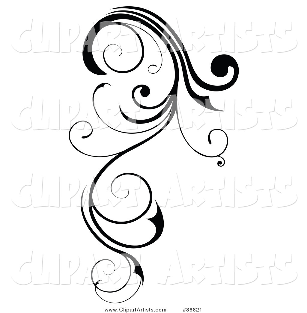 Long, Black Curly Design Element Scroll