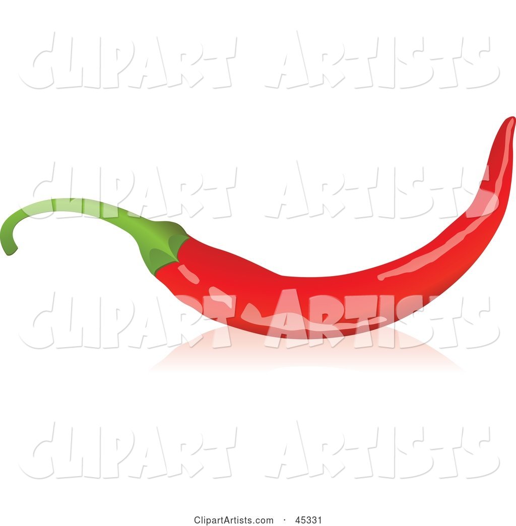 Long Red Organic Chili Pepper