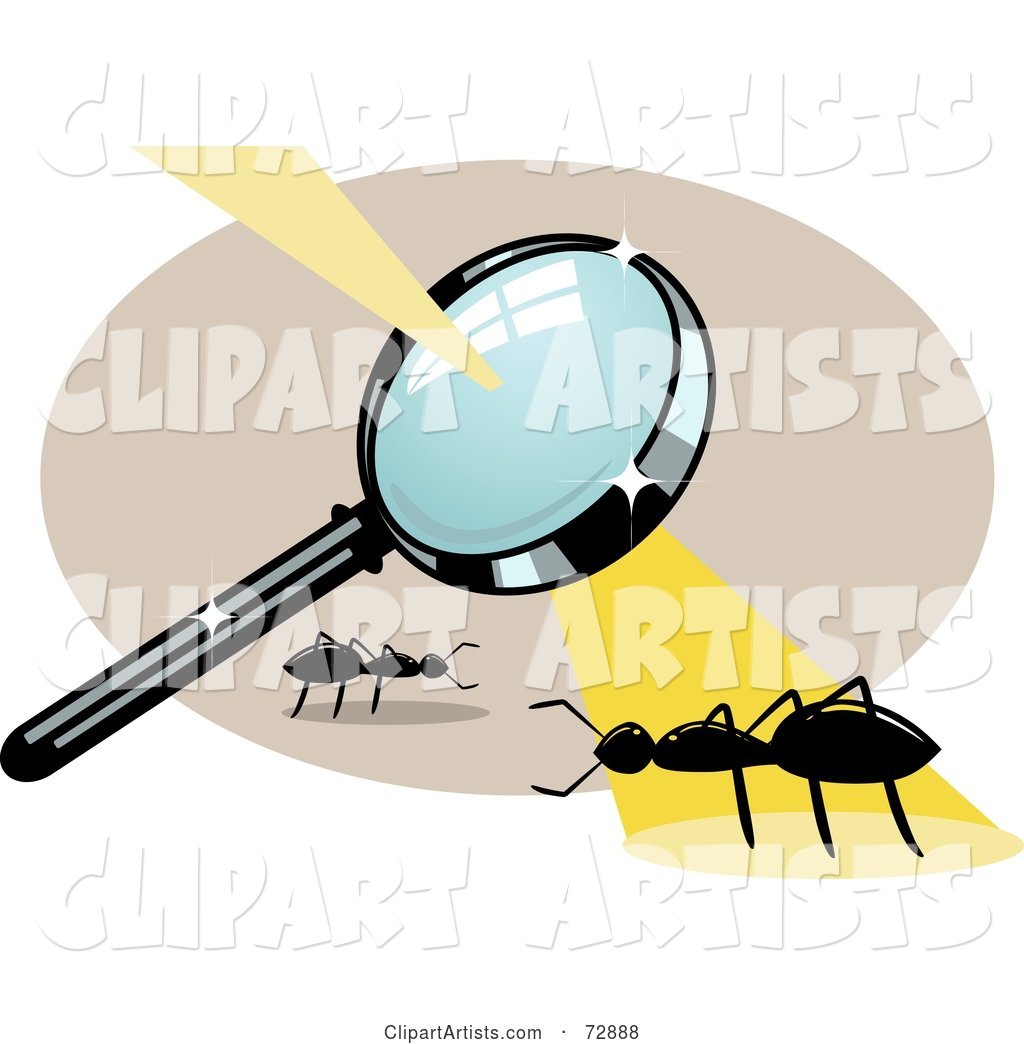 Magnifying Glass Casting Burning Light on an Ant