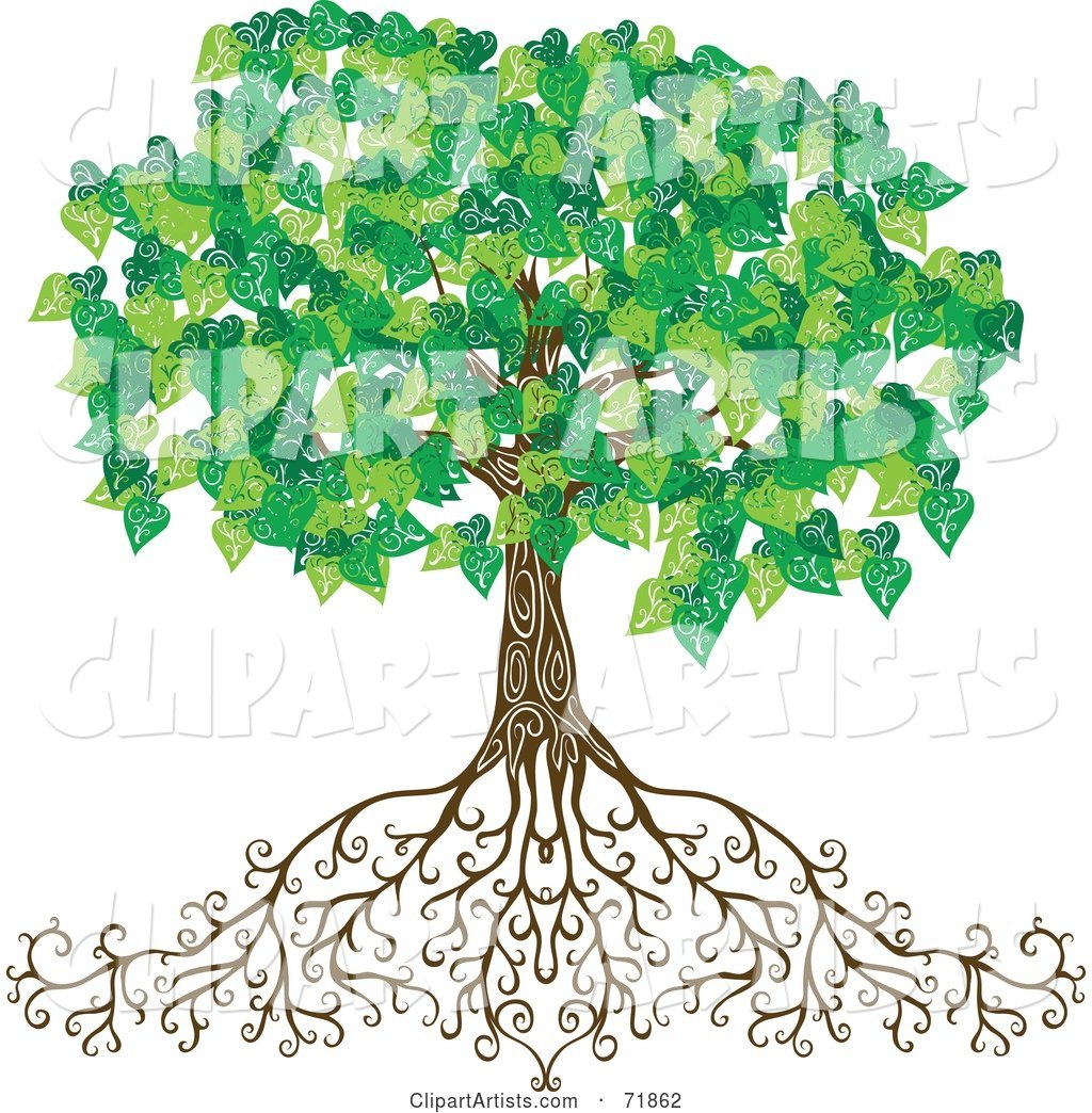 Mature Green Tree with Deep Roots