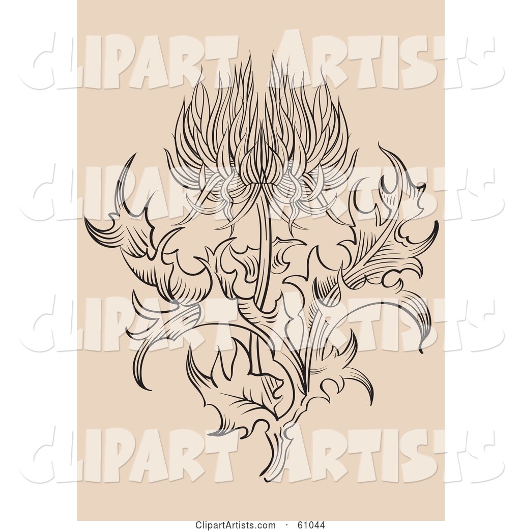 Ornate Thistle Flower with Leaves on Beige