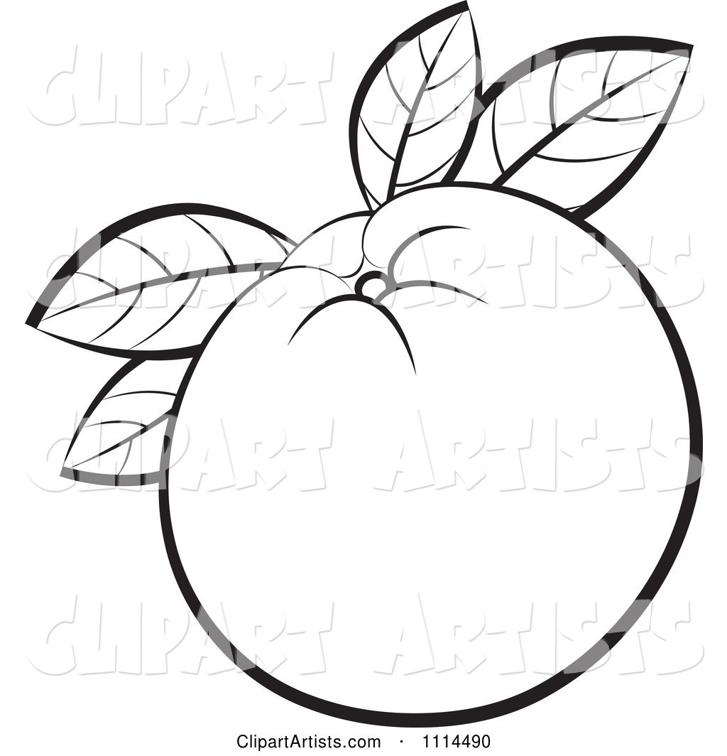 Outlined Orange Fruit with Leaves