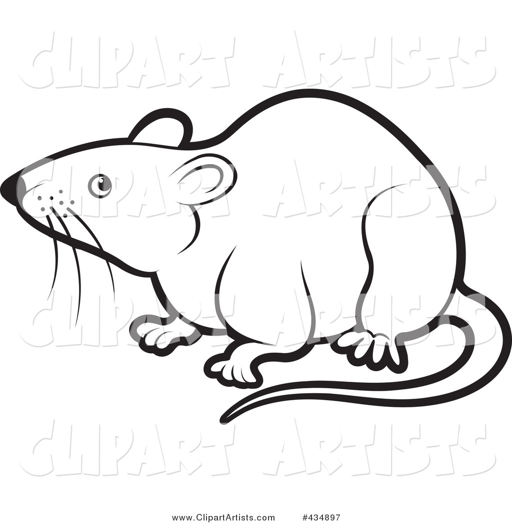 Outlined Rat