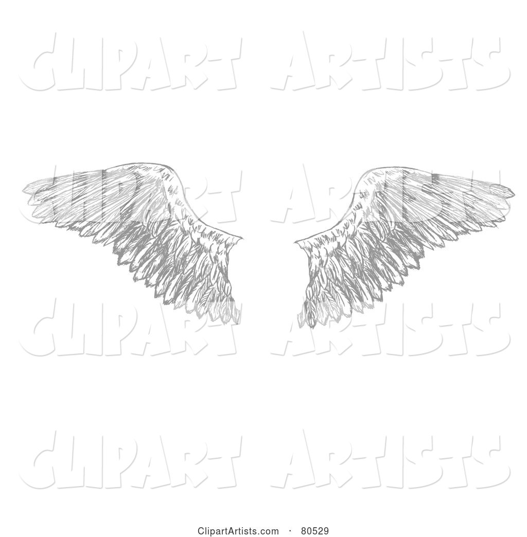 Pair of Feathered Eagle Wings