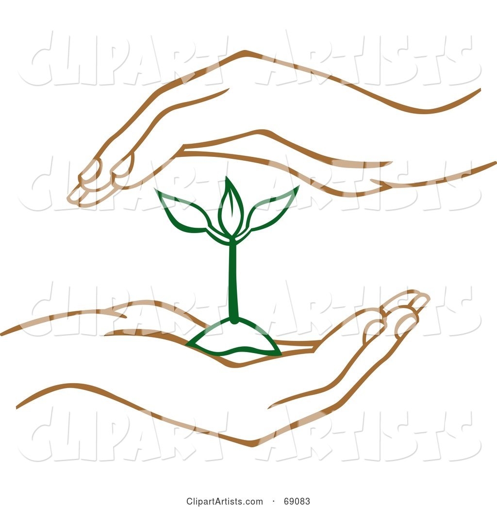 Pair of Human Hands Protecting a Green Seedling Plant