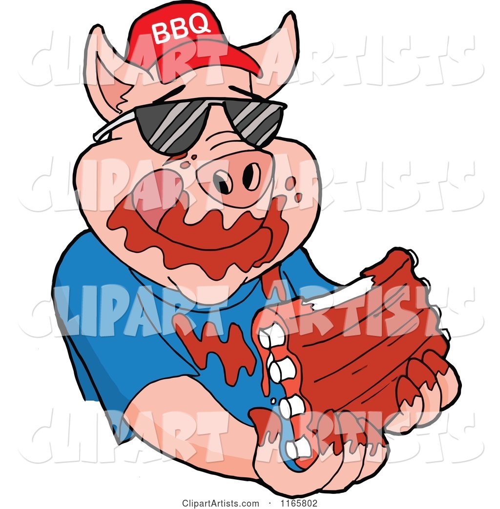 Pig Wearing Shades and a Bbq Hat and Eating Messy Ribs