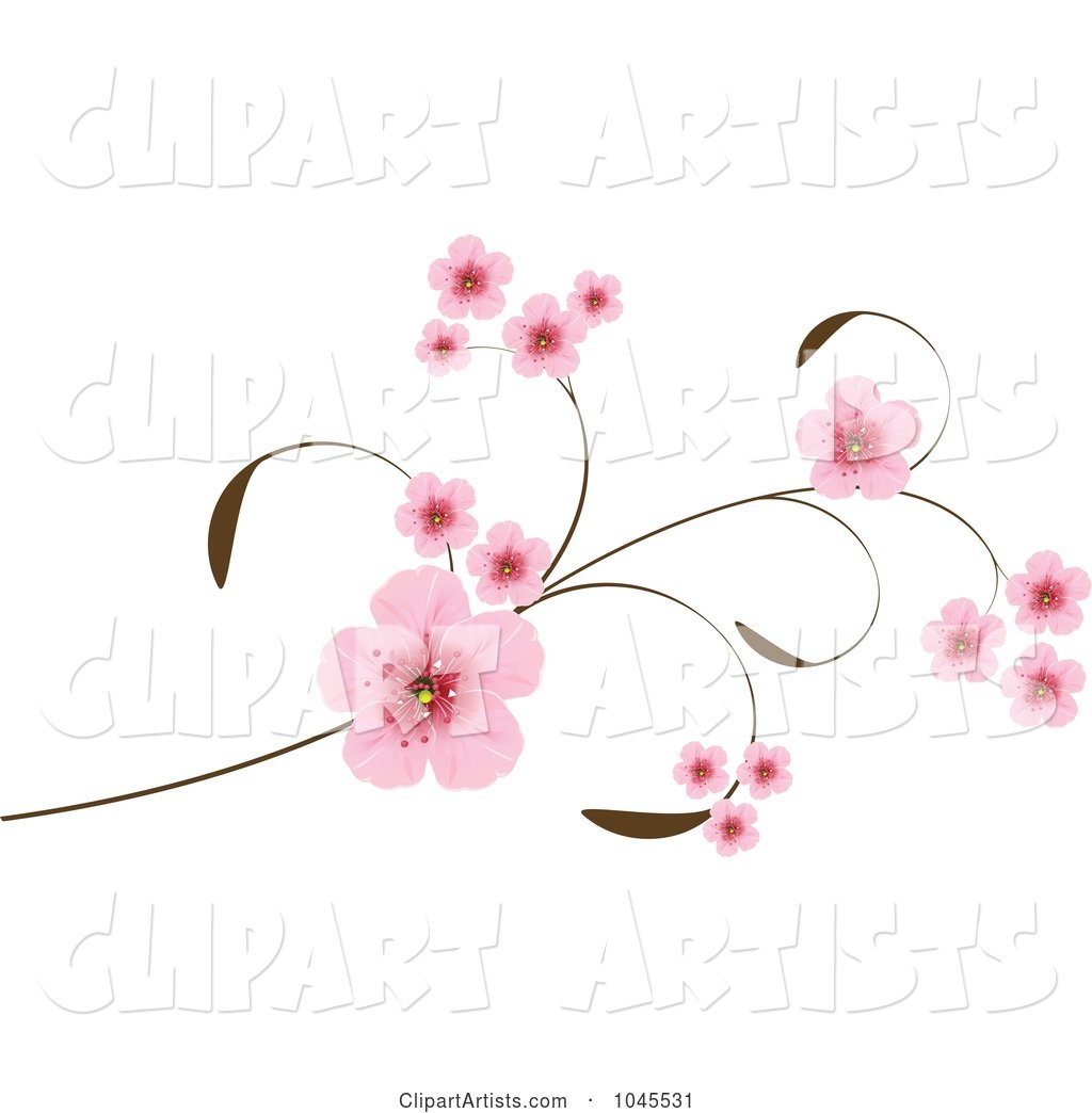 Pink Cherry Blossoms on an Elegant Branch