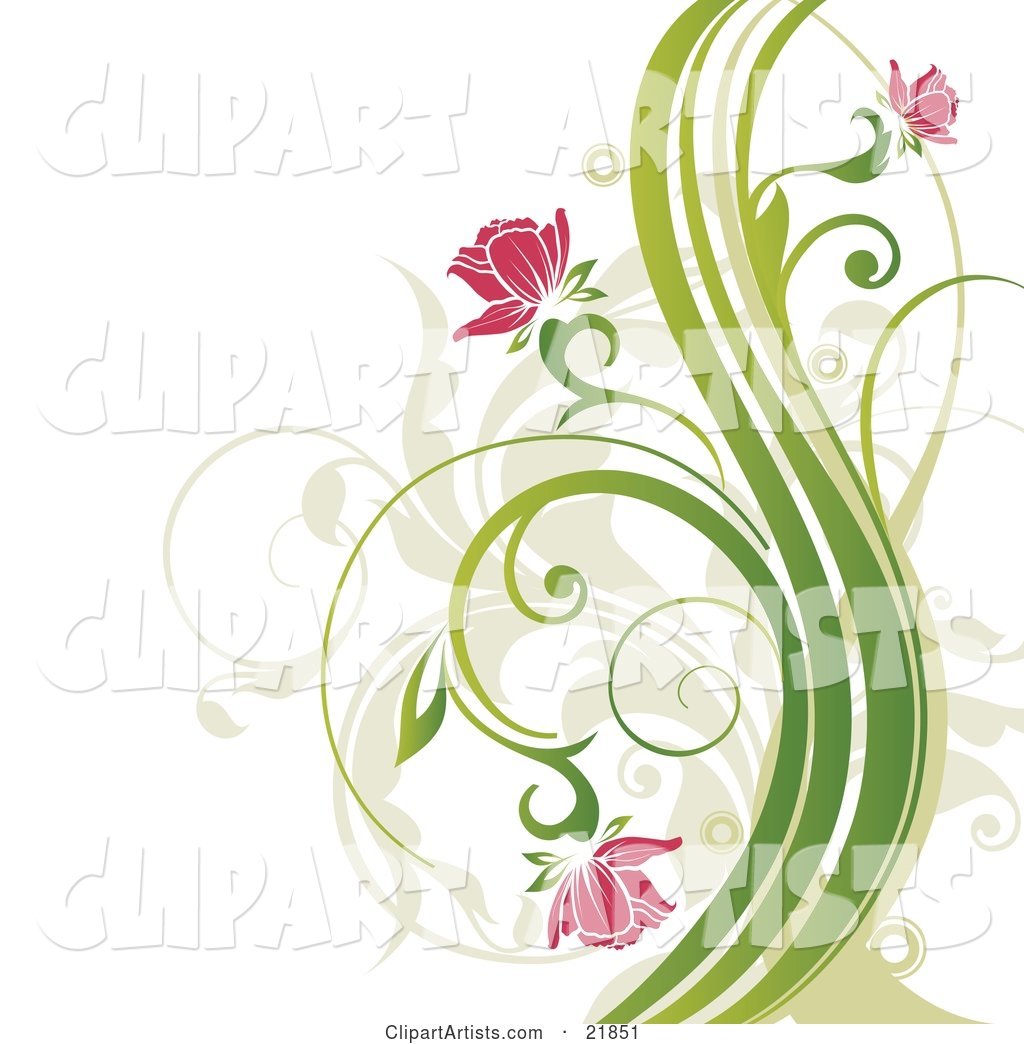 Pink Flowers Blooming on Curly Green Plants over a White Background