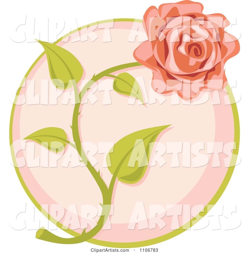 Pink Rose over a Circle