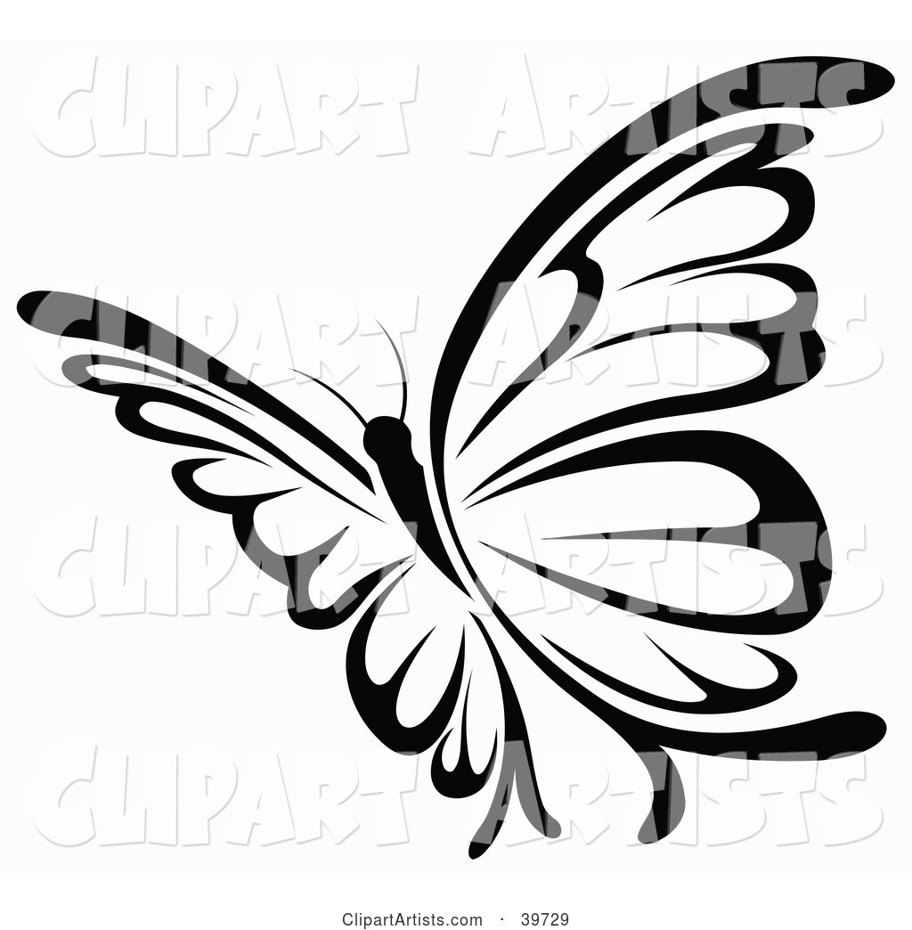 Pretty Black and White Flying Butterfly