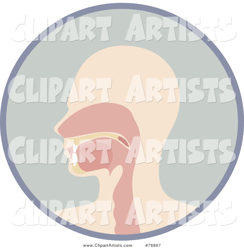 Profiled Human Head, Nasal Passages and Mouth in a Circle