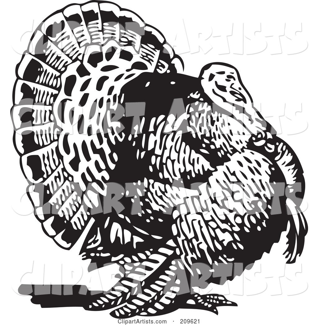 Retro Black and White Thanksgiving Turkey Bird