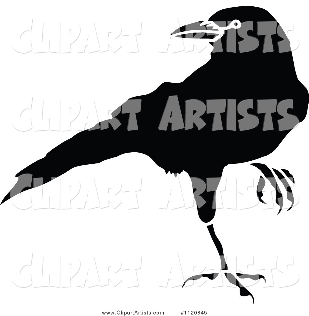 Retro Vintage Black and White Crow 2