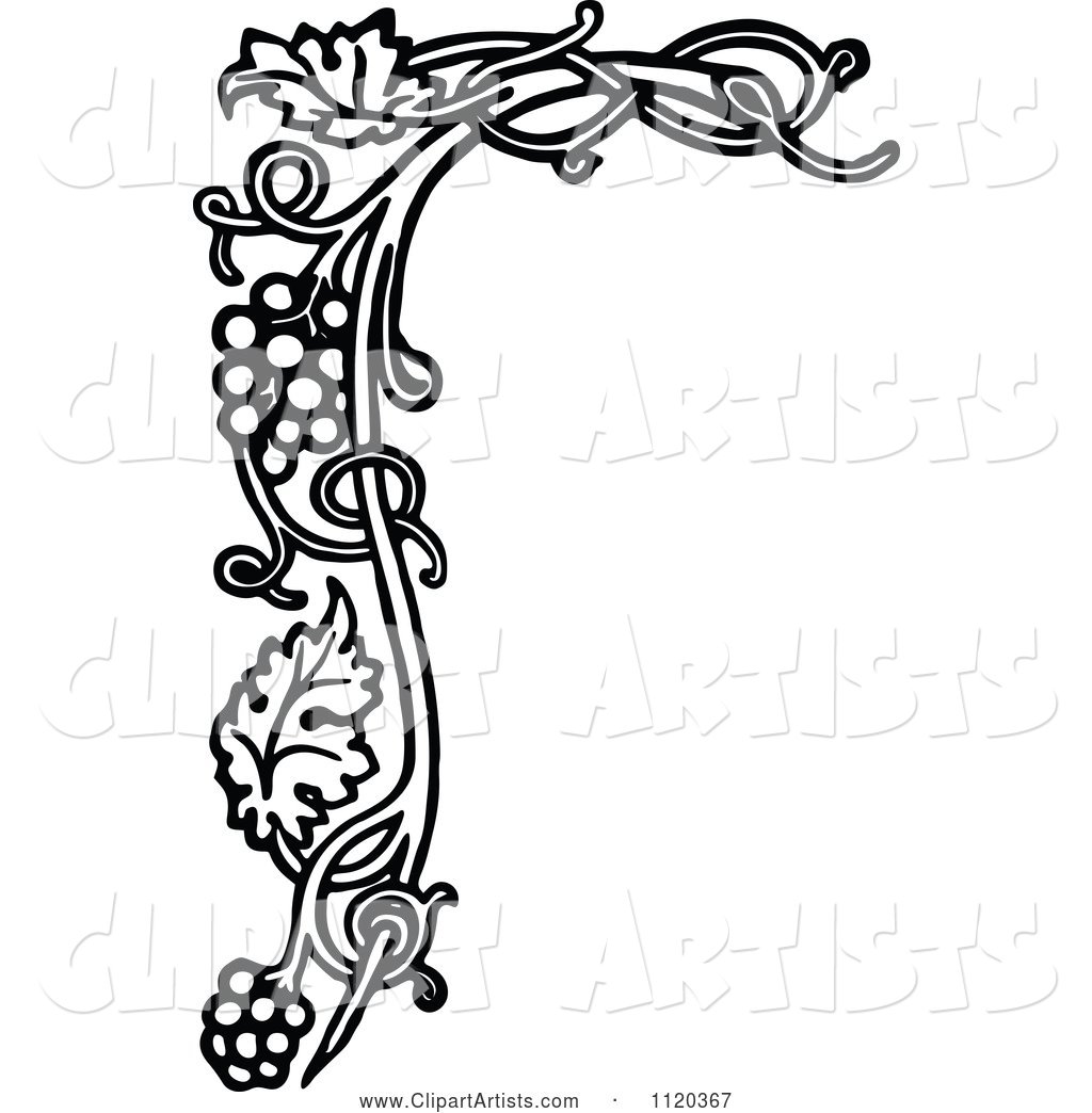 Retro Vintage Black and White Grape Vine Floral Page Border