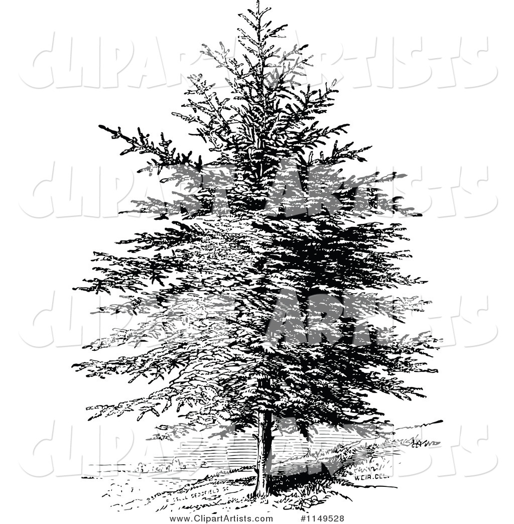 Retro Vintage Black and White Pine Tree