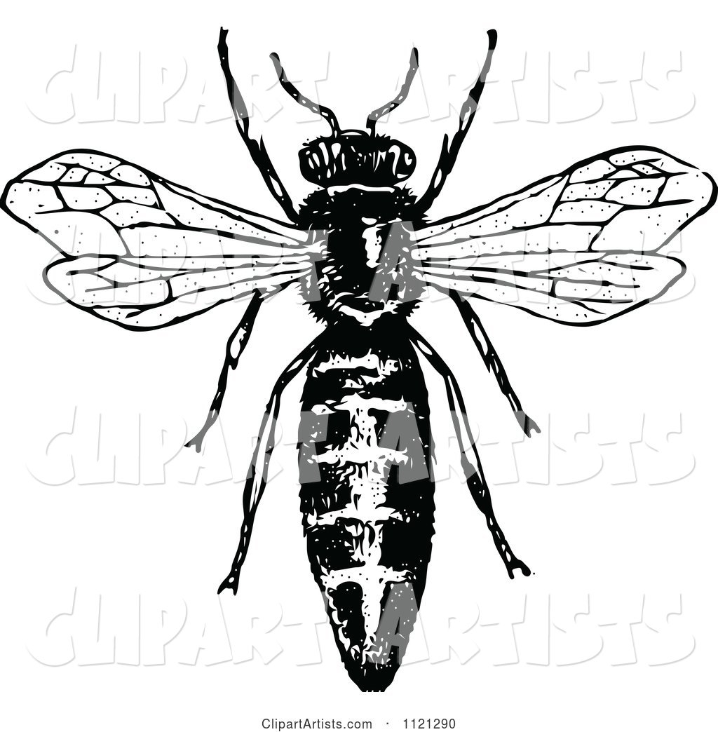 Retro Vintage Black and White Queen Bee