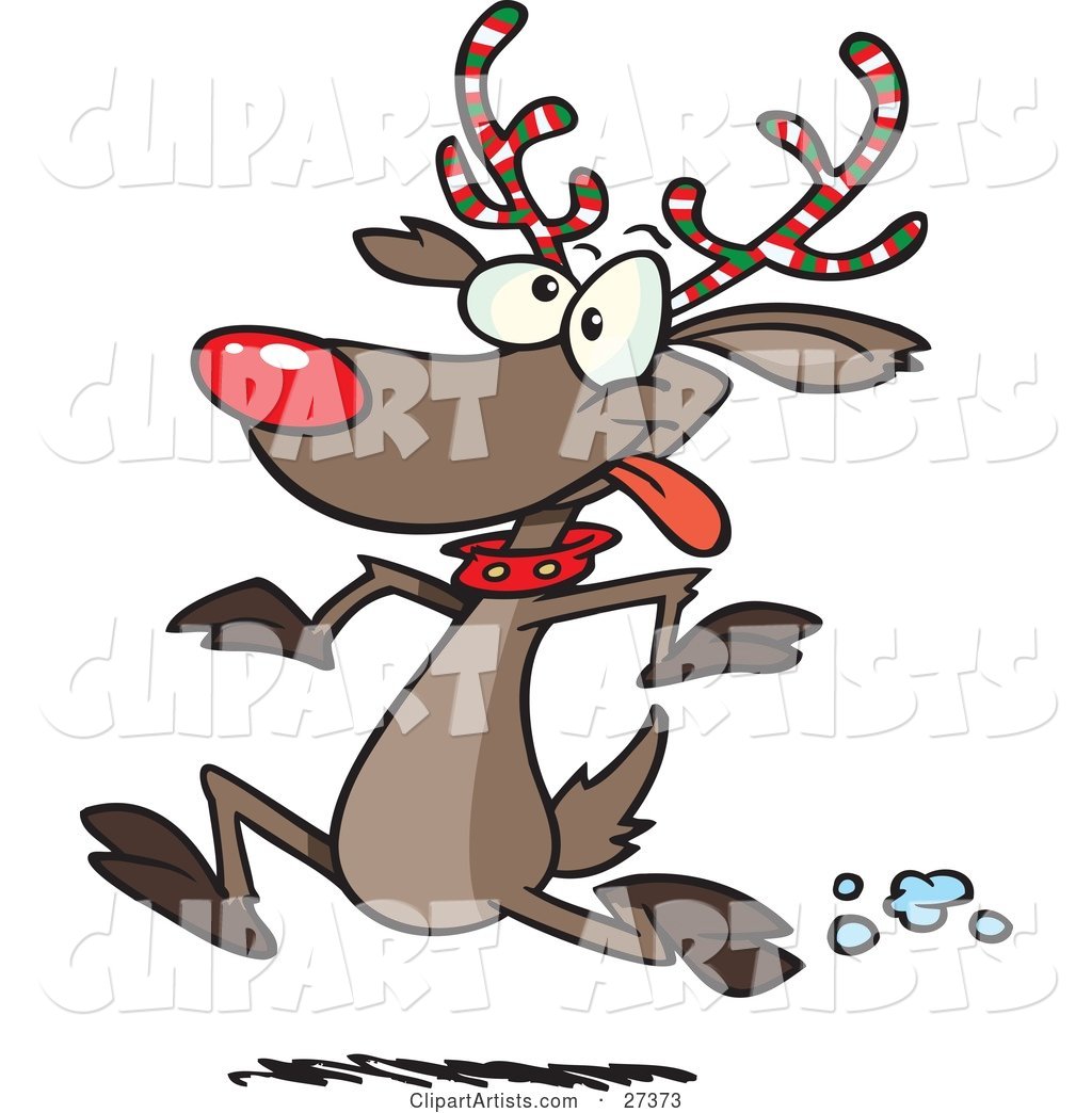 Rudolph the Red Nosed Reindeer with Festive Red, White and Green Striped Antlers, Running in the Snow