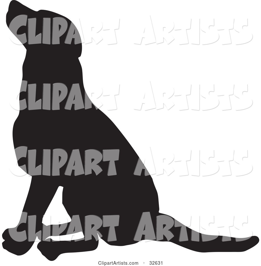 Seated Dog Silhouetted in Black