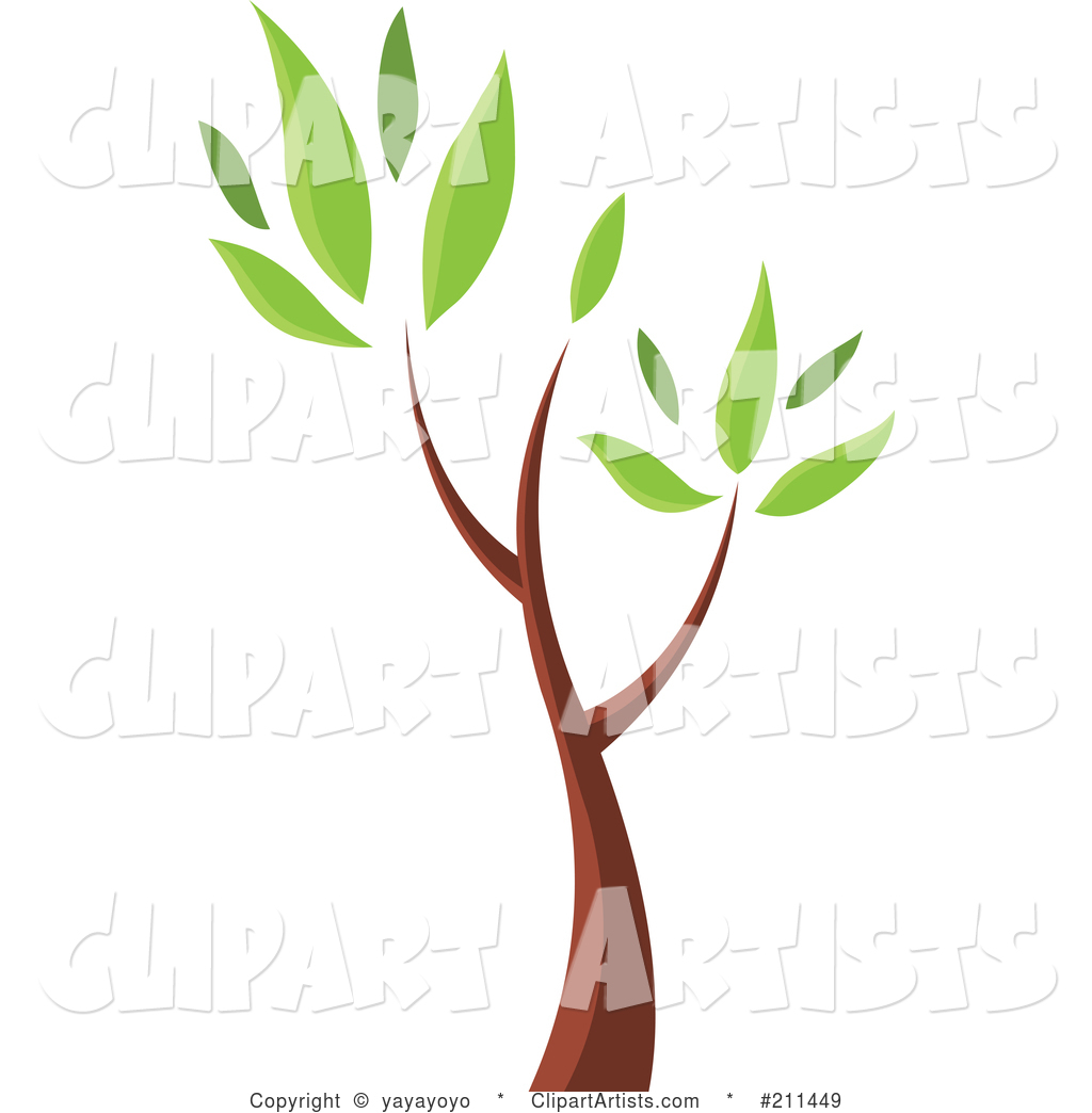 Seedling Tree