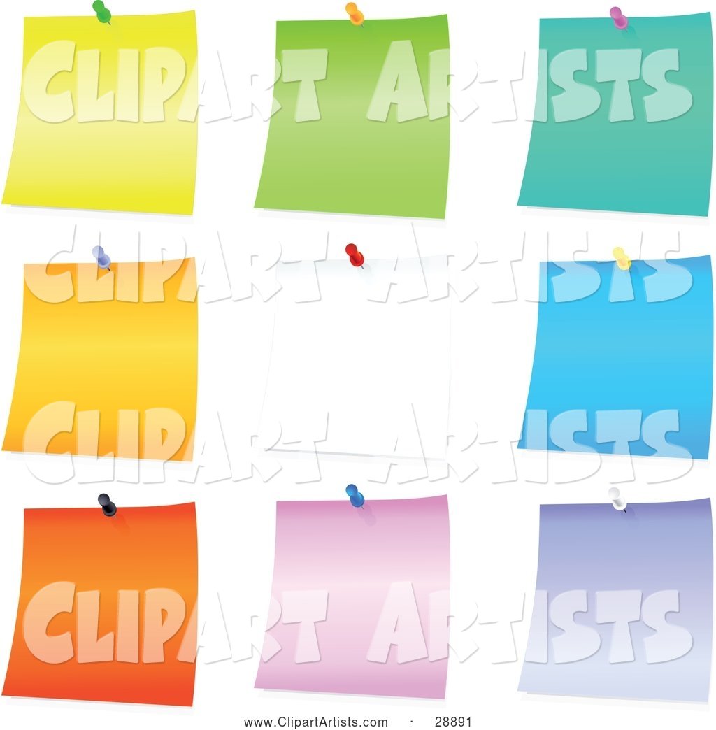 Set of Yellow, Green, Blue, Orange, White, Pink and Purple Blank Pieces of Note Paper Tacked to a Board