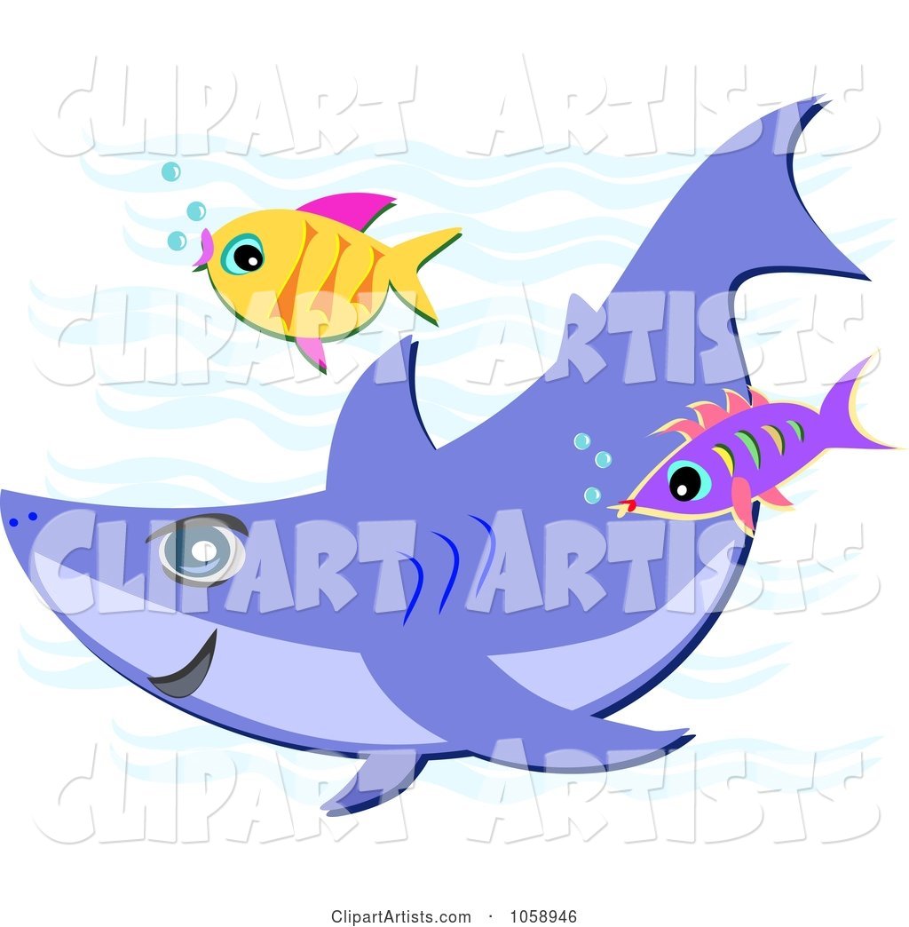 Shark Swiming with Two Fish