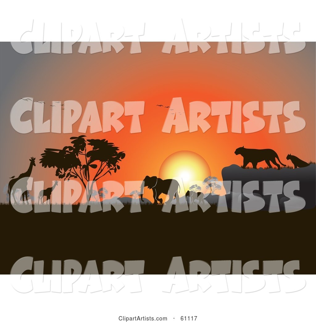 Silhouetted Giraffes, Birds, Elephants and Big Cats Against an Orange African Sunset