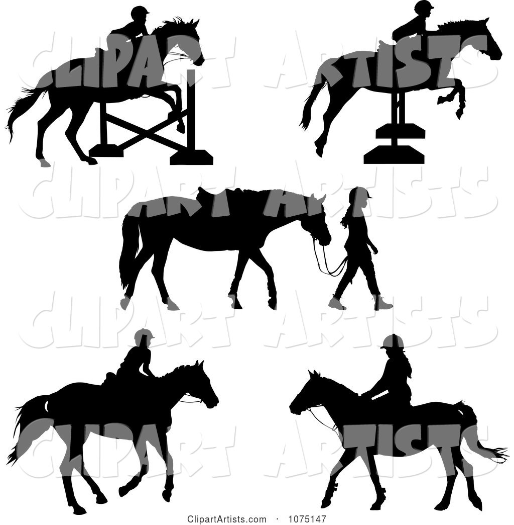Silhouetted Horses and Equestrian Girls