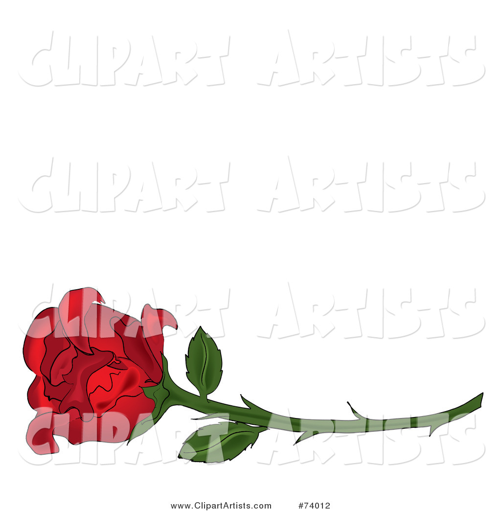 Single Red Rose on a Long Thorny Stem