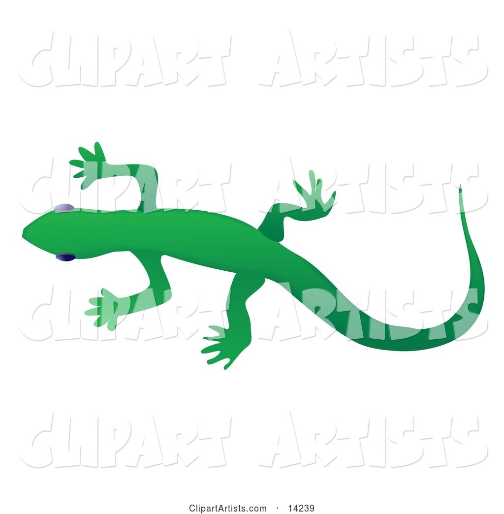 Solid Green Gecko Lizard over a White Background
