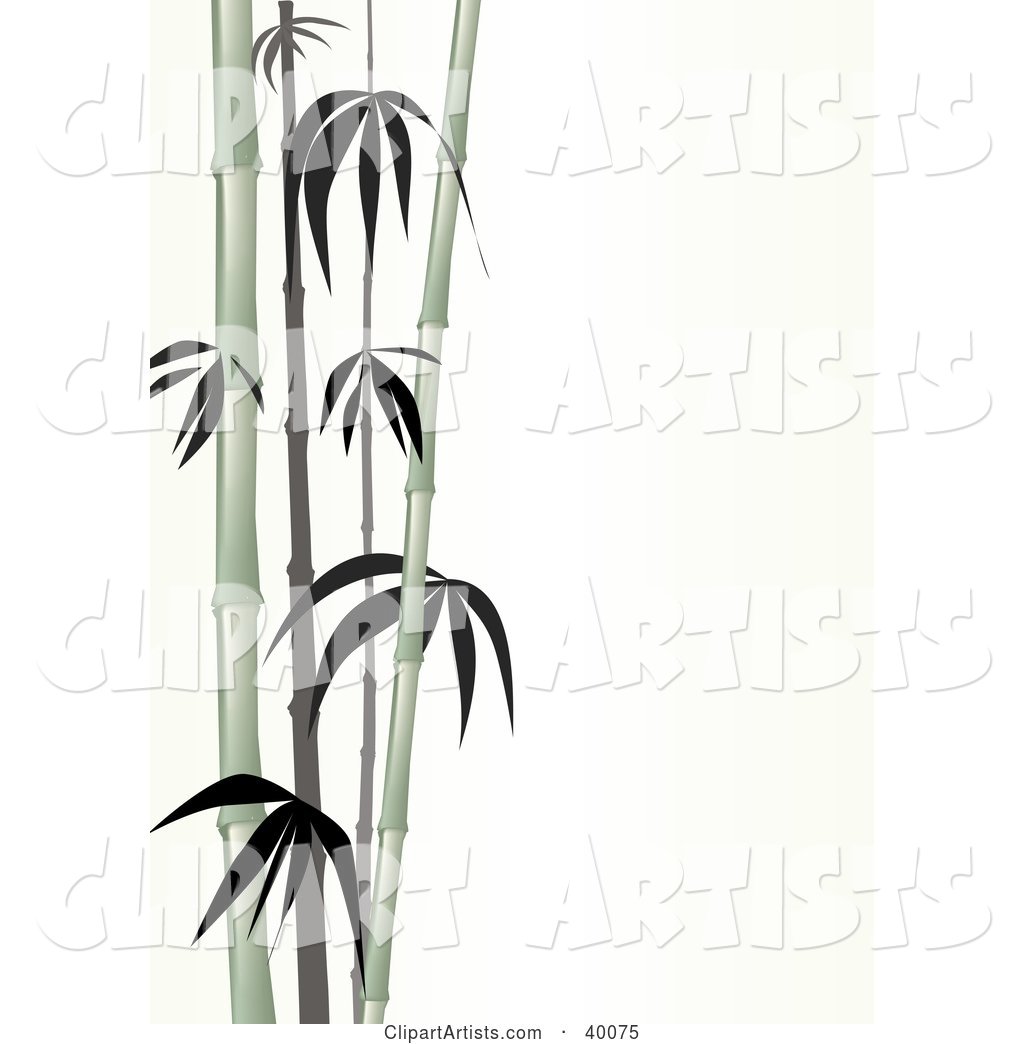 Stalks of Pale Green Bamboo on a White Background