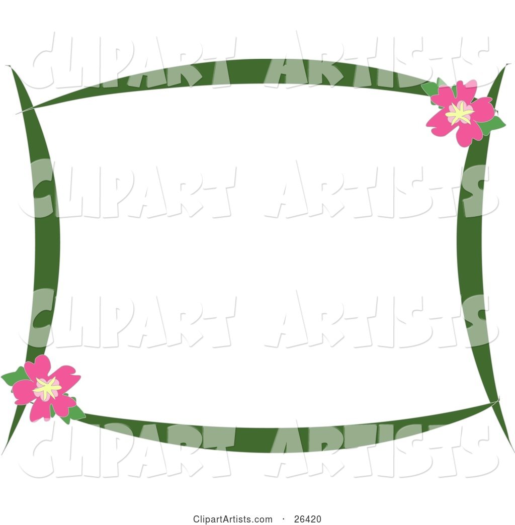 Stationery Border of Green Branches and Pink Hibiscus Flowers over White