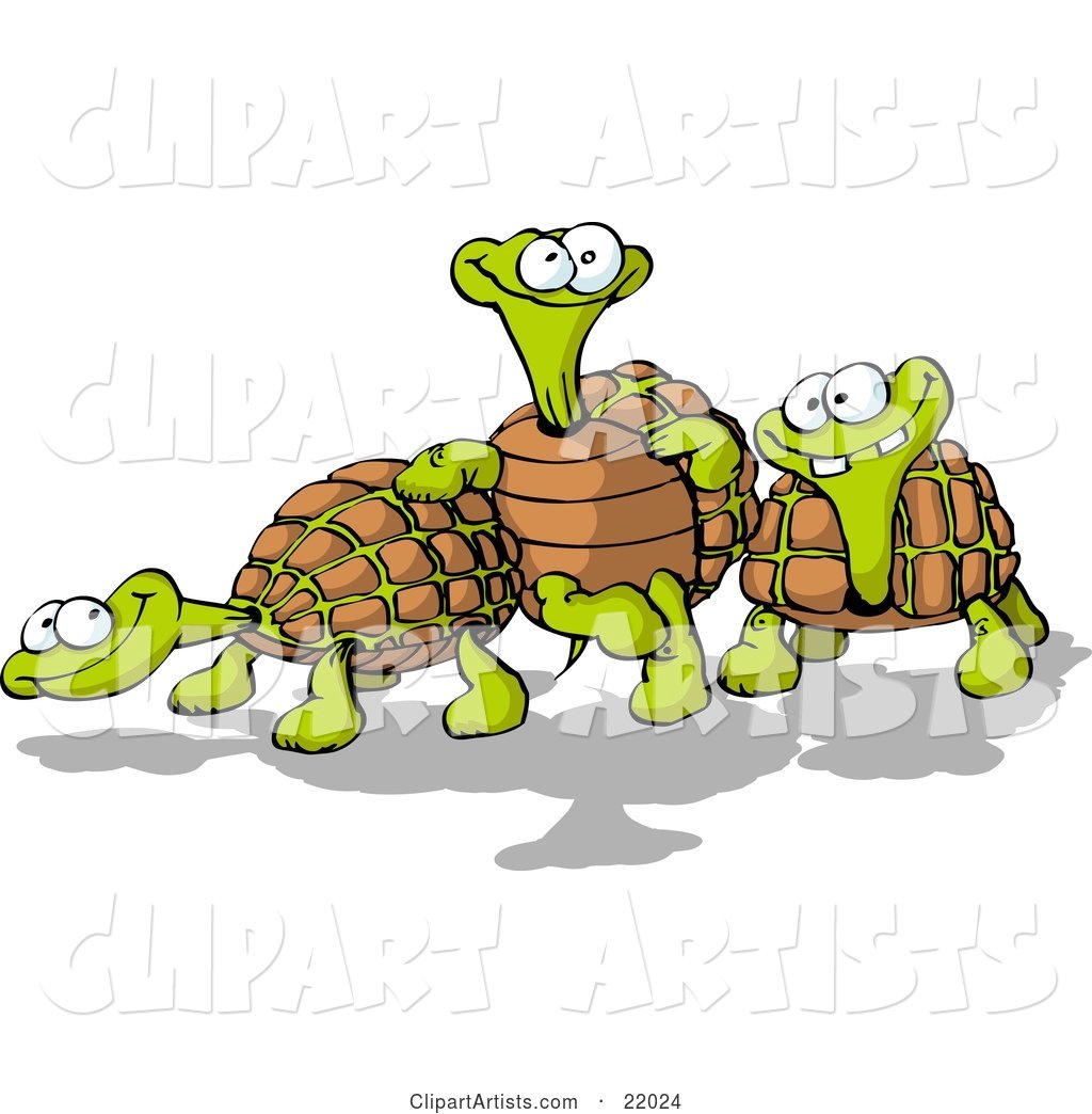 Three Goofy Tortoise Turtles, One Leaning Against Another