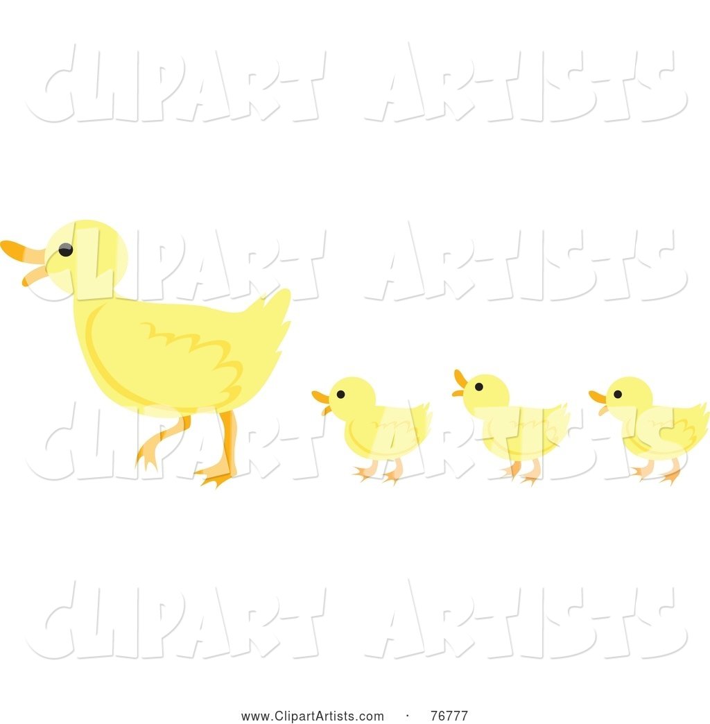 Three Yellow Ducklings Following Their Mother; Ducks in a Row