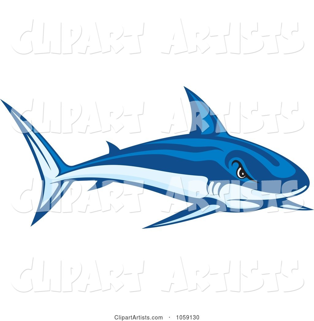 Tough Blue Shark