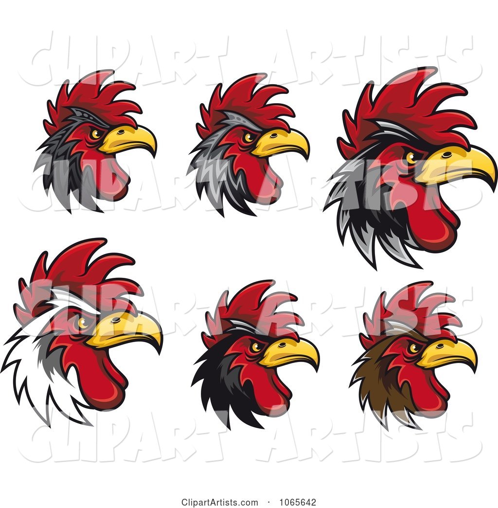 Tough Roosters 1