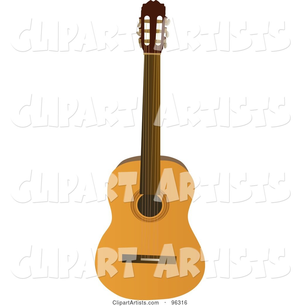 Traditional Acoustic Guitar
