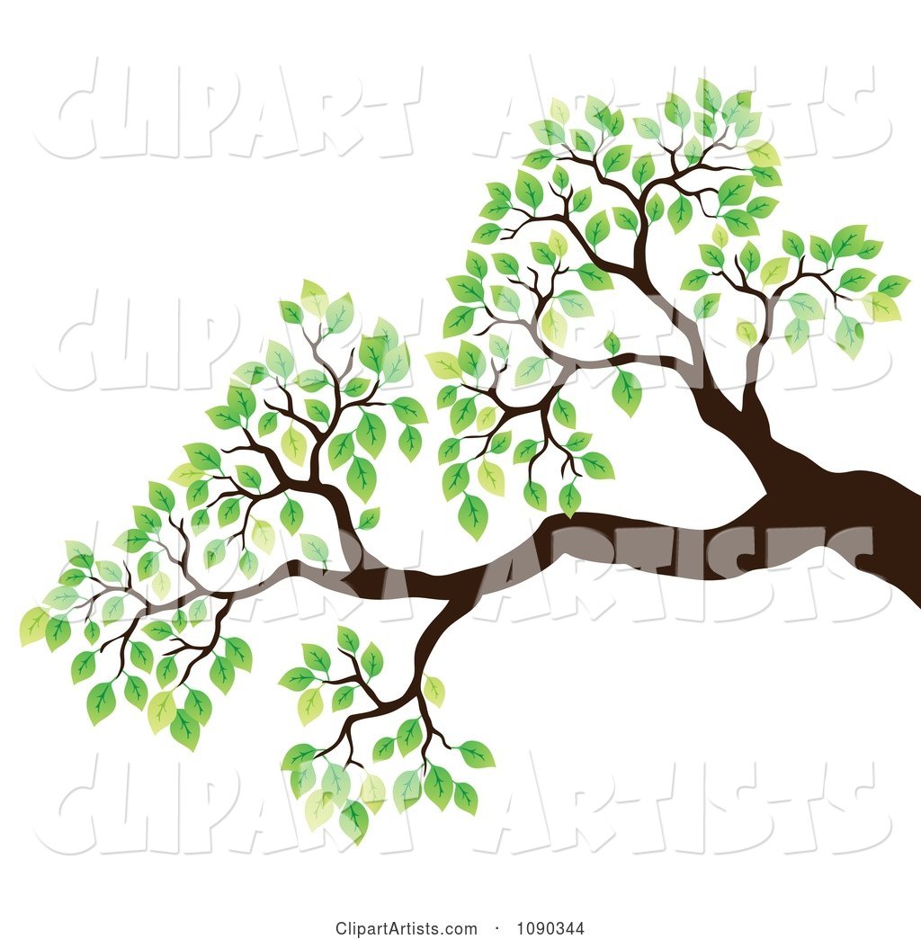 Tree Branch with Green Spring Leaves
