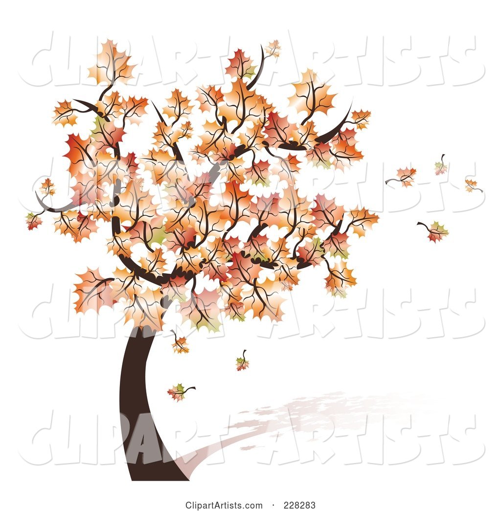 Tree with Fall Foliage and Leaves Blowing off in the Breeze
