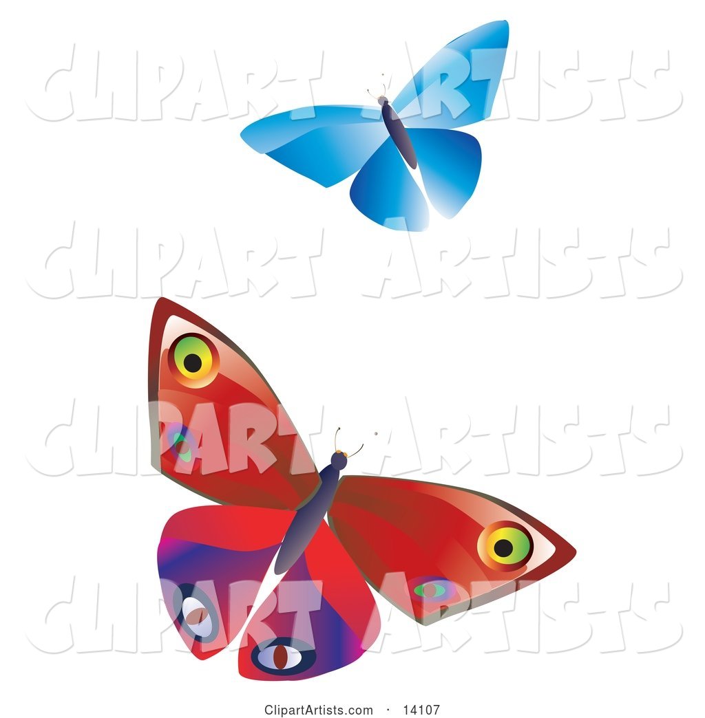 Two Colorful Butterflies, One Blue One Red with Patterns, Fluttering over a White Background