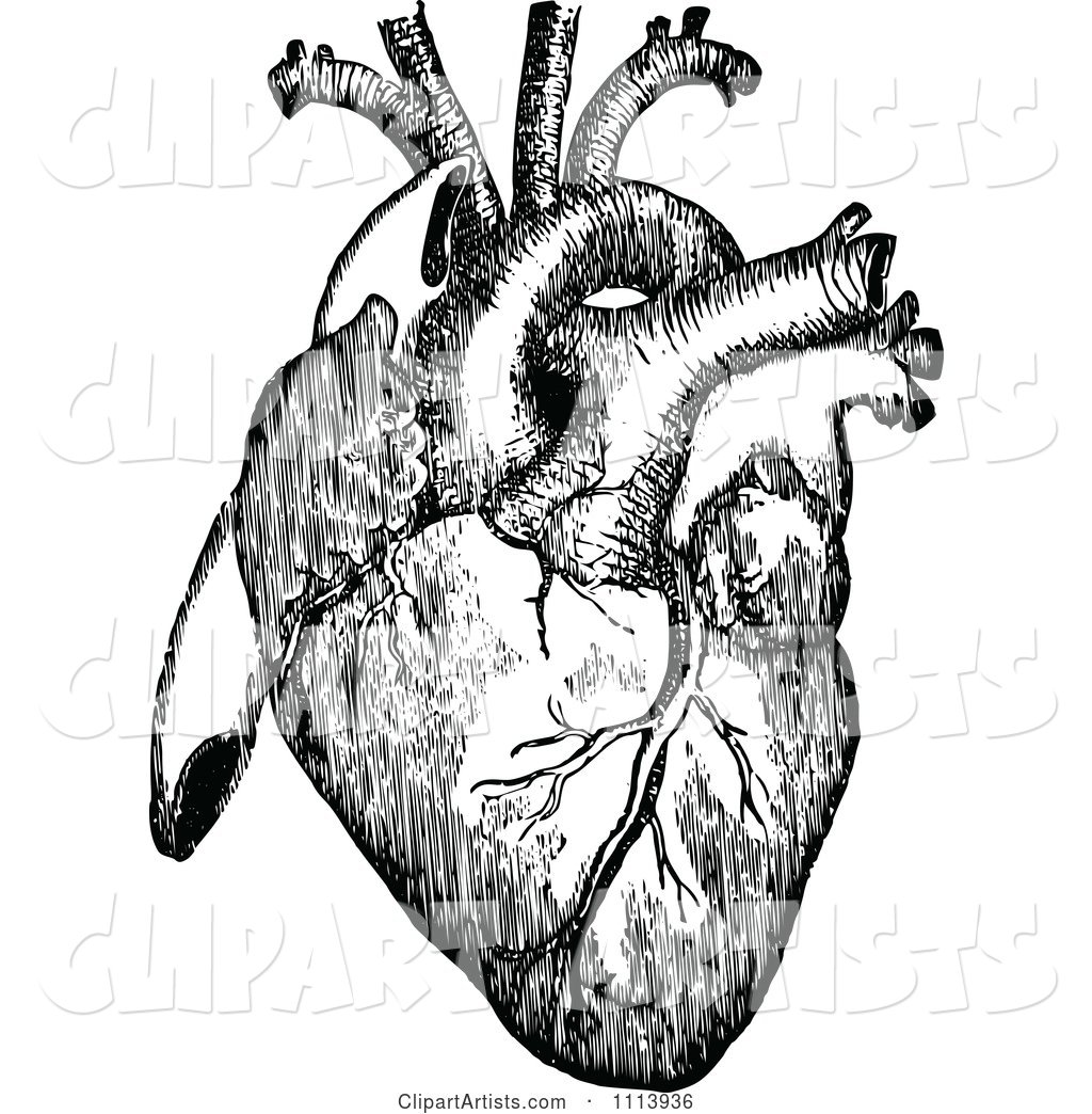 Vintage Black and White Human Heart