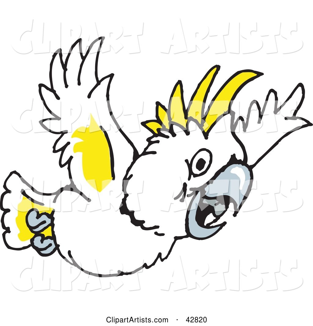White and Yellow Cockatoo Bird Flying