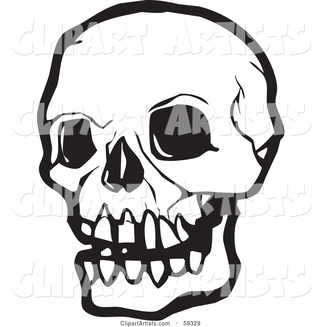 White Human Skull with Dark Eye Sockets