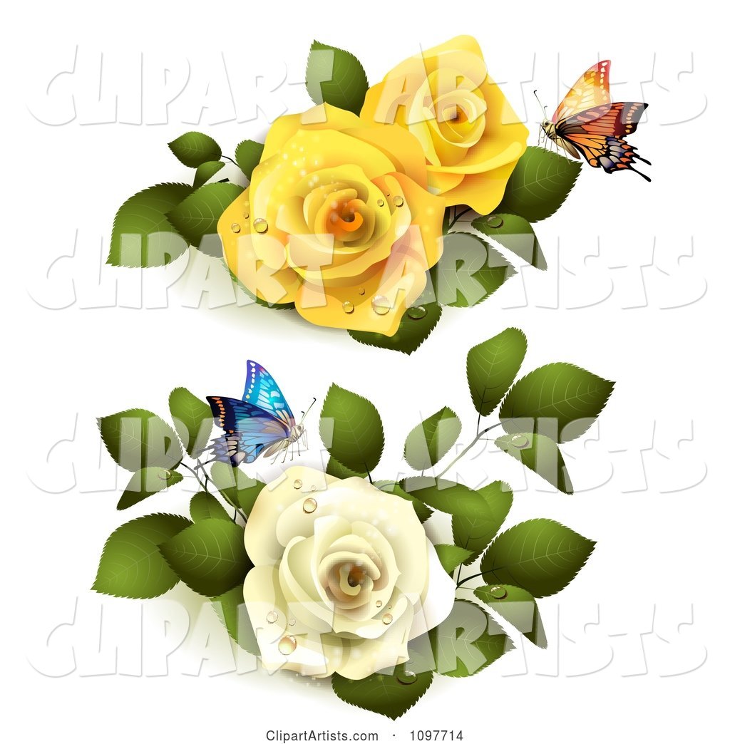 Yellow and White Roses with Butterflies and Leaves