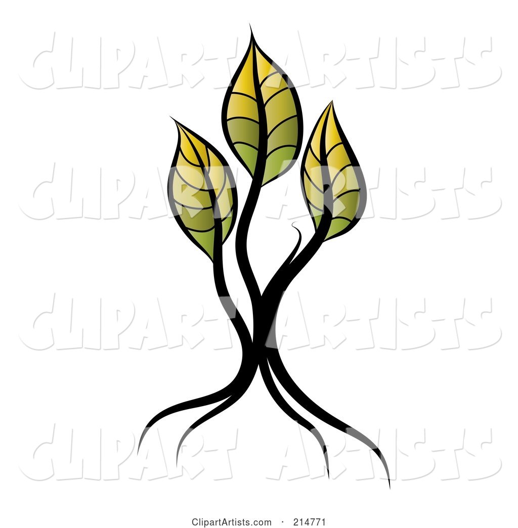 Young Seedling Tree with Three Yellow and Green Leaves