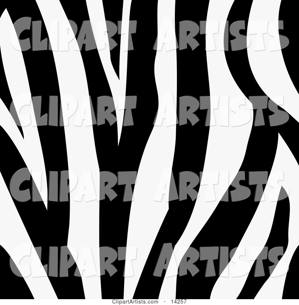 Zebra Animal Print Background with a Black and White Stripes Pattern