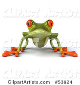 Cute Green Tree Frog Resting on All Fours and Facing Front