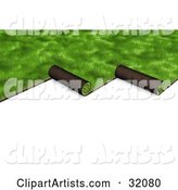 Green Sod Being Unrolled to Cover a Yard, on a White Background
