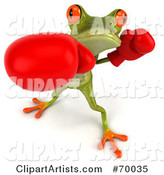 Green Tree Frog Boxing - Version 1