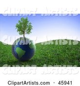 Healthy Tree Growing on Top of a Globe on a Grassy Hill Under a Blue Sky