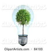Mature Tree Growing Inside of a Transparent Light Bulb